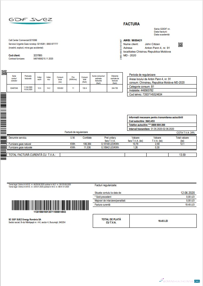 download download Moldova Gas utility bill template in Word and PDF format PDF template PDF template